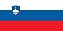 Slovenia Newspapers