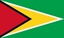 Guyana Newspapers